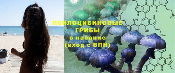 тгк Алексеевка