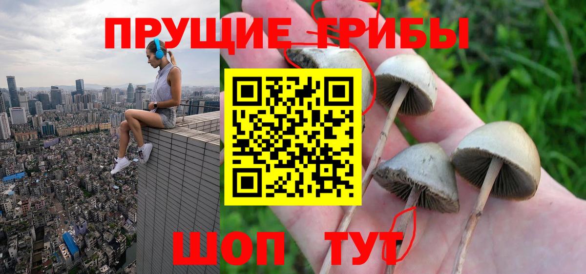 Псилоцибиновые грибы Psilocybine cubensis Урюпинск